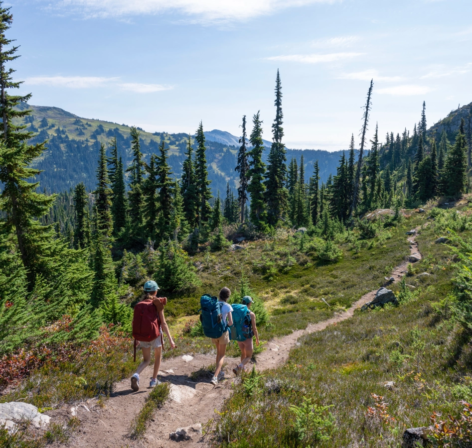 Hikers walking on a forest trail.