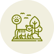 Tiger and trees with sad face sign.