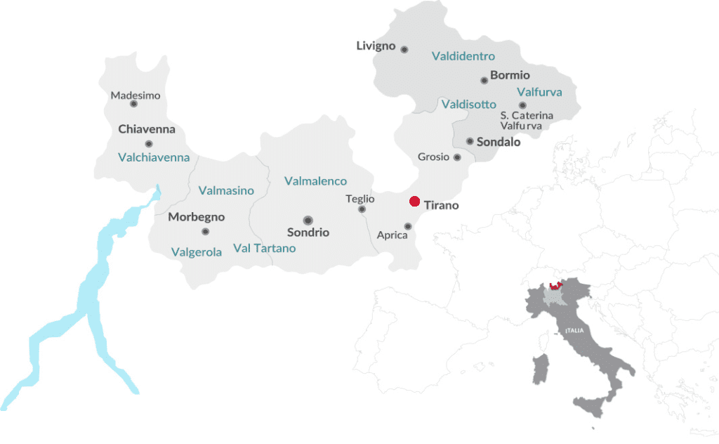 68e993042ebac_dot tirano